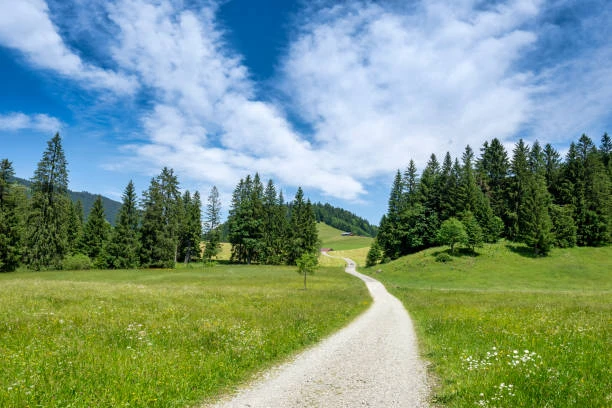Paysage naturel avec un chemin symbolisant la confiance et l’affirmation de soi, accompagnement énergétique près de Rennes à St Jacques de la Lande.