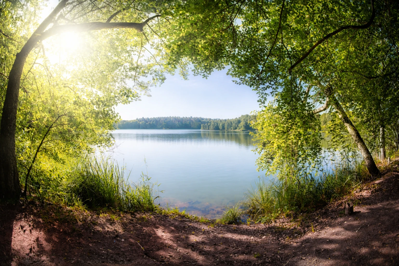 Rivière paisible au cœur de la nature, symbolisant la libération émotionnelle et l’apaisement intérieur grâce à un accompagnement énergétique, près de Rennes.